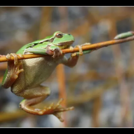 Bed and breakfast Entensee Uznach