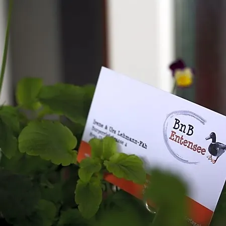 Bed & Breakfast Entensee Uznach
