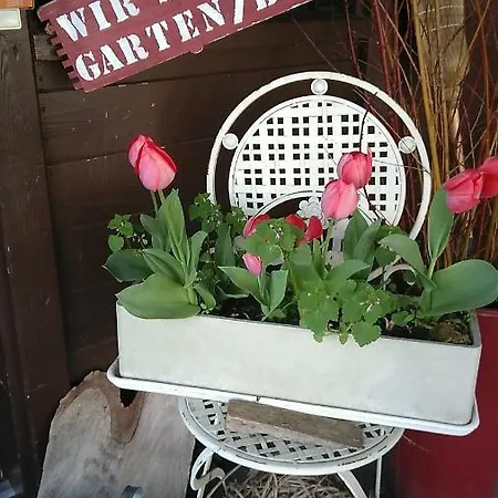 Bnb Entensee