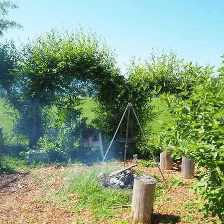 Bed & Breakfast Entensee