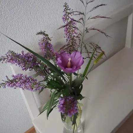 Bed & Breakfast Entensee