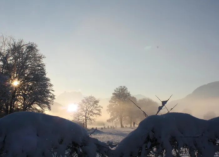 Frühstückspension Entensee Uznach