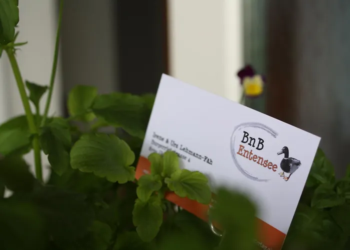 贝恩特赛住宿加早餐旅馆